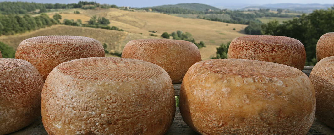 Typical Tuscan products Pecorino cheese